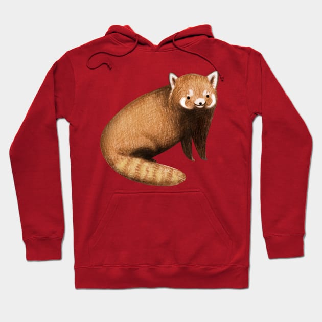 Red Panda Hoodie by Sophie Corrigan